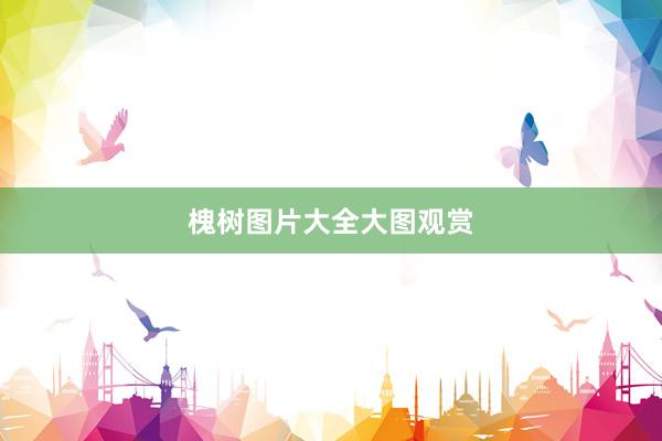 槐树图片大全大图观赏