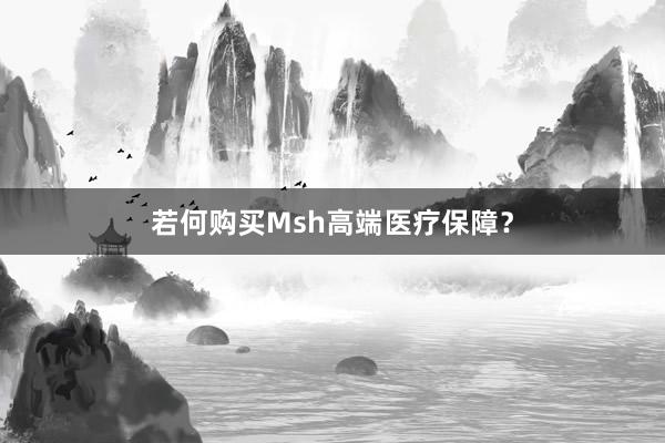 若何购买Msh高端医疗保障？