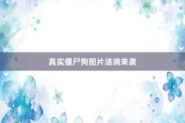 真实僵尸狗图片涟漪来袭