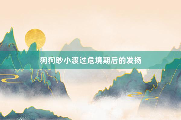 狗狗眇小渡过危境期后的发扬