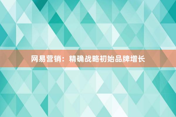 网易营销：精确战略初始品牌增长