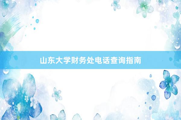 山东大学财务处电话查询指南